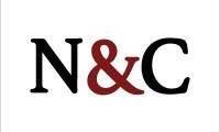 Nangia & Co LLP logo