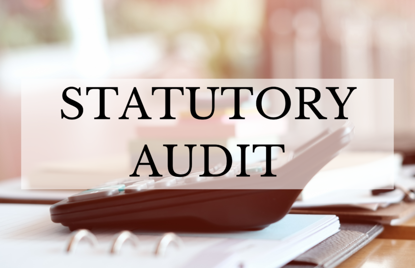 statutory audit blog